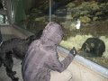 13.02.2012 Walterzoo 010